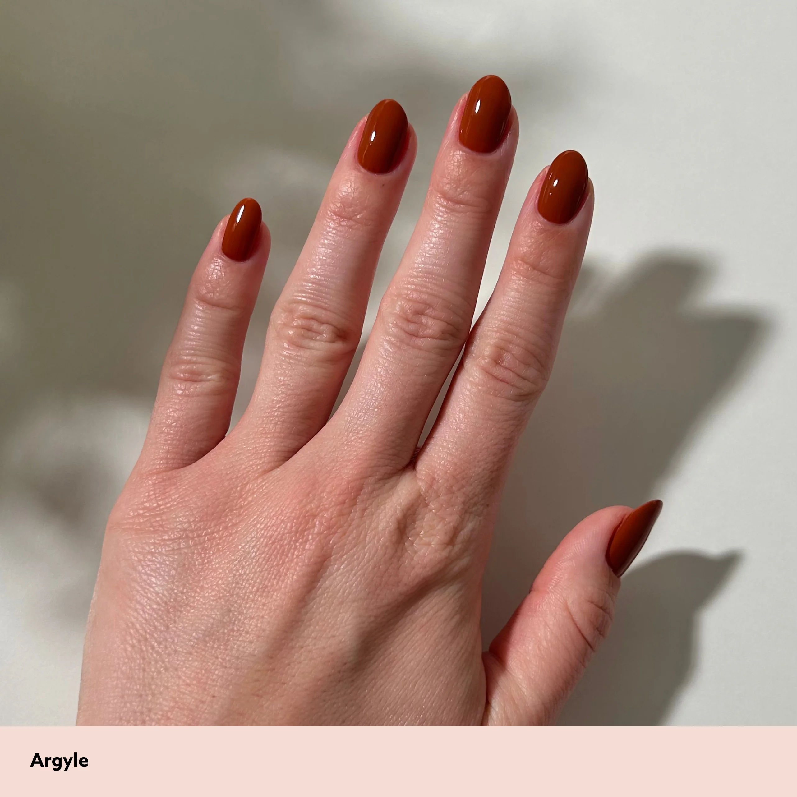 Argyle - Image 8