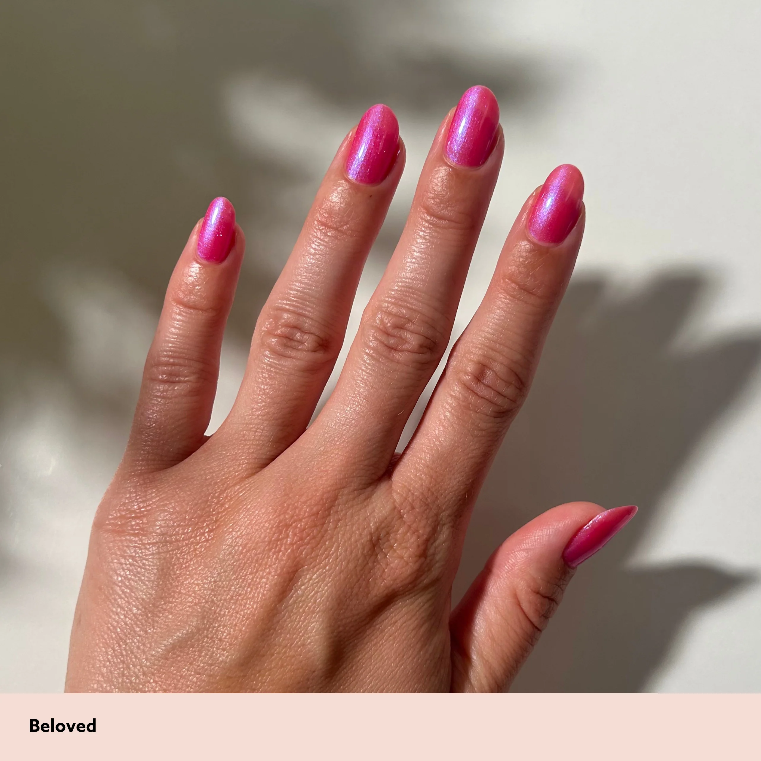 Beloved - Image 4