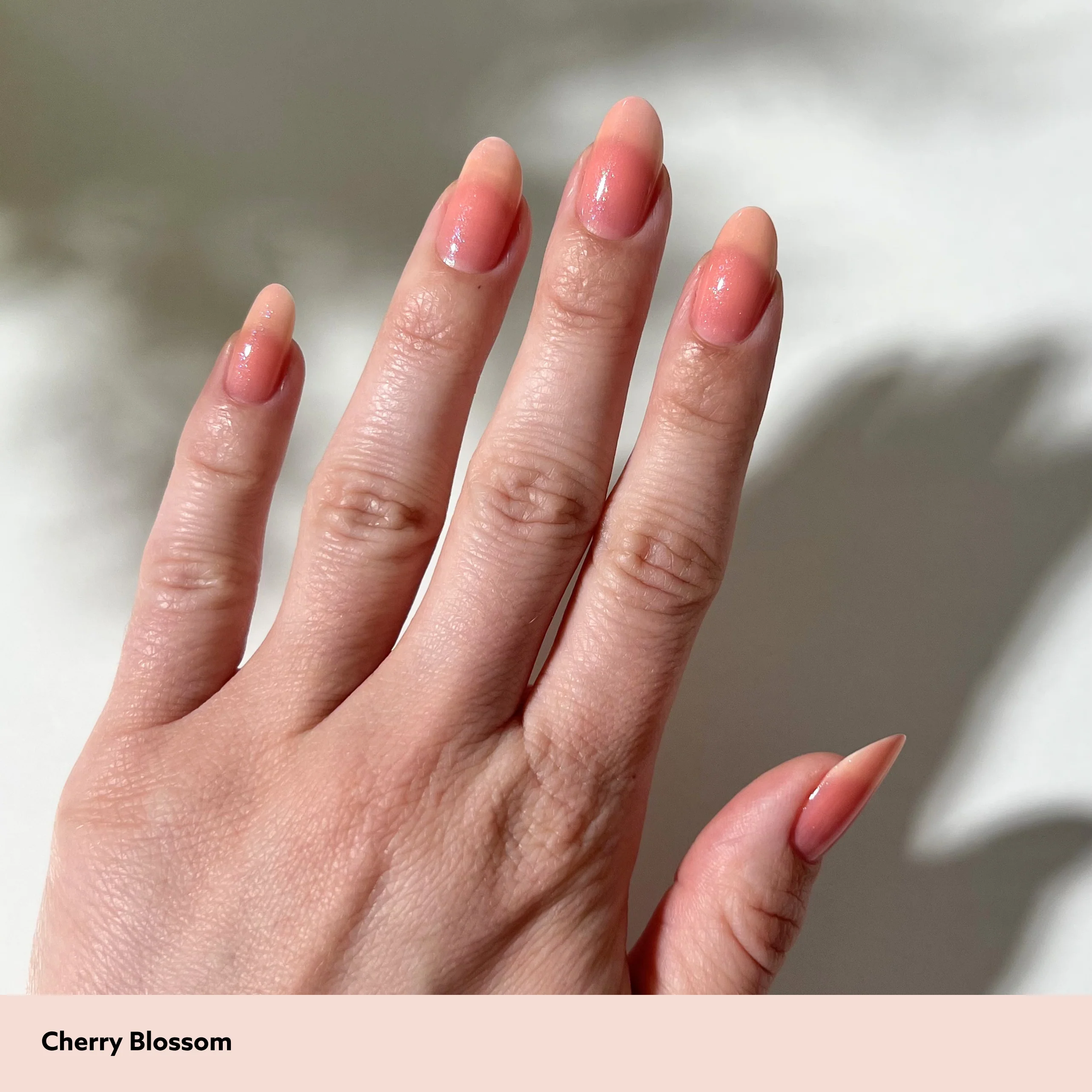 Cherry Blossom - Image 9