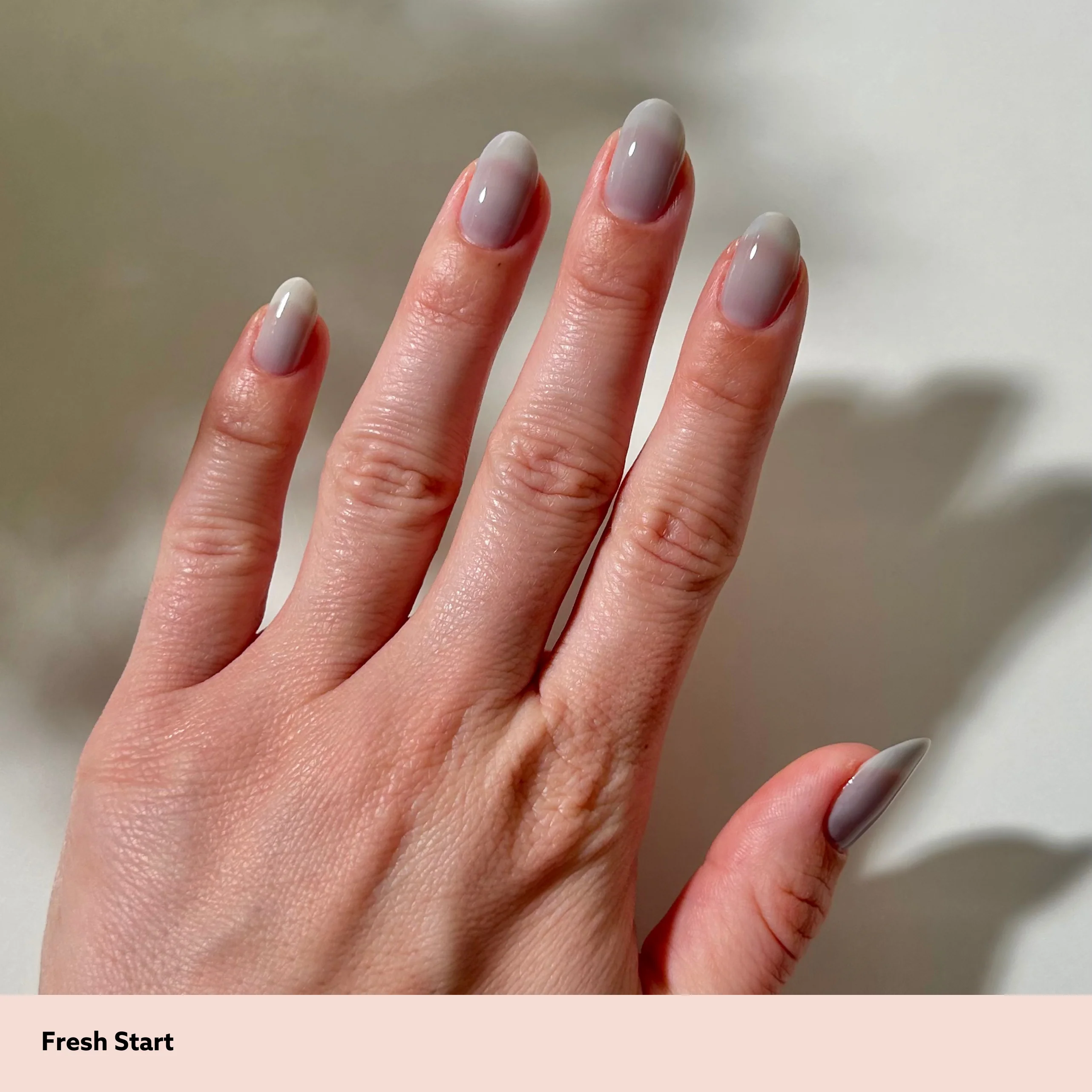Fresh Start - Image 8