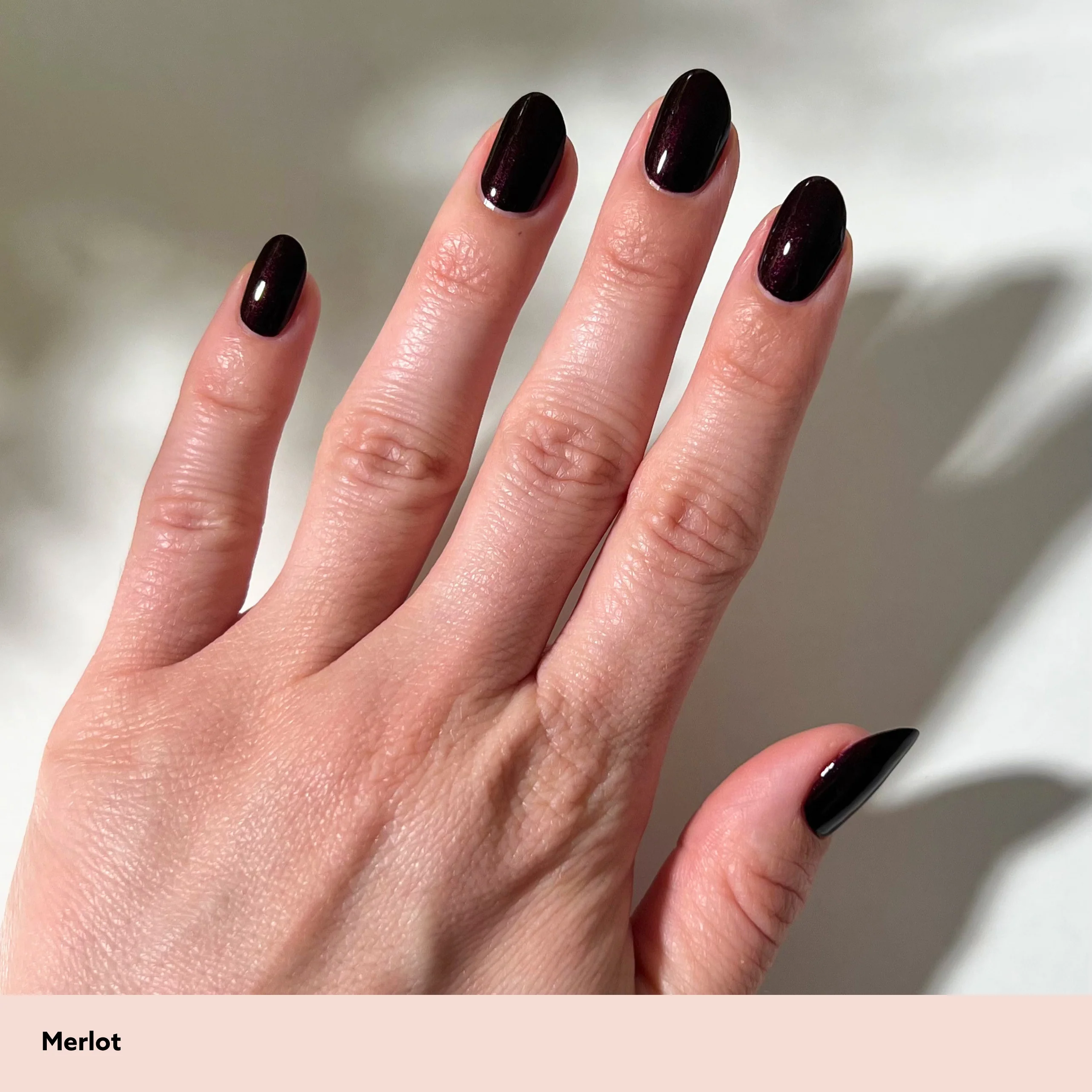 Merlot - Image 3