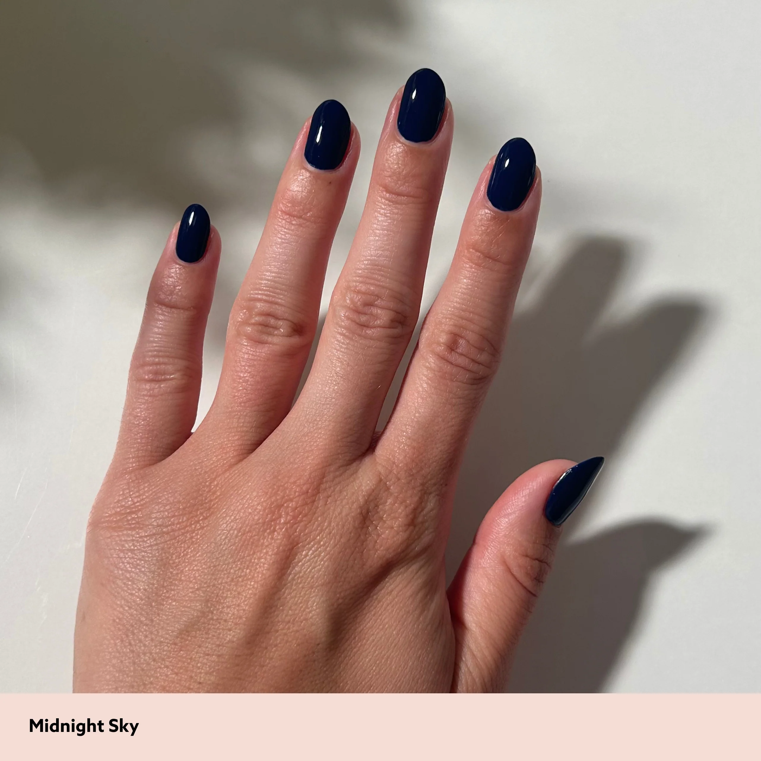 Midnight Sky - Image 8