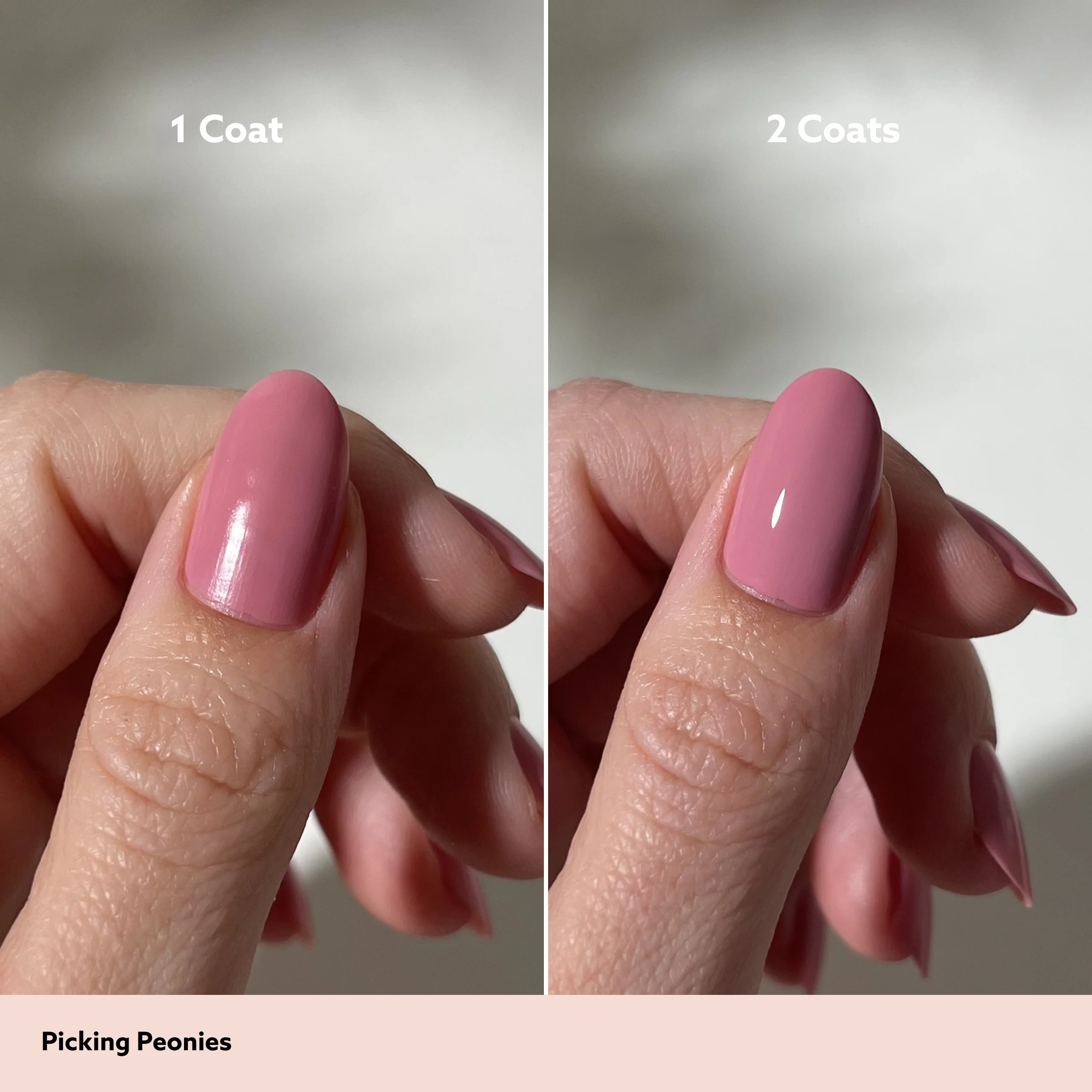 Picking Peonies - Image 10