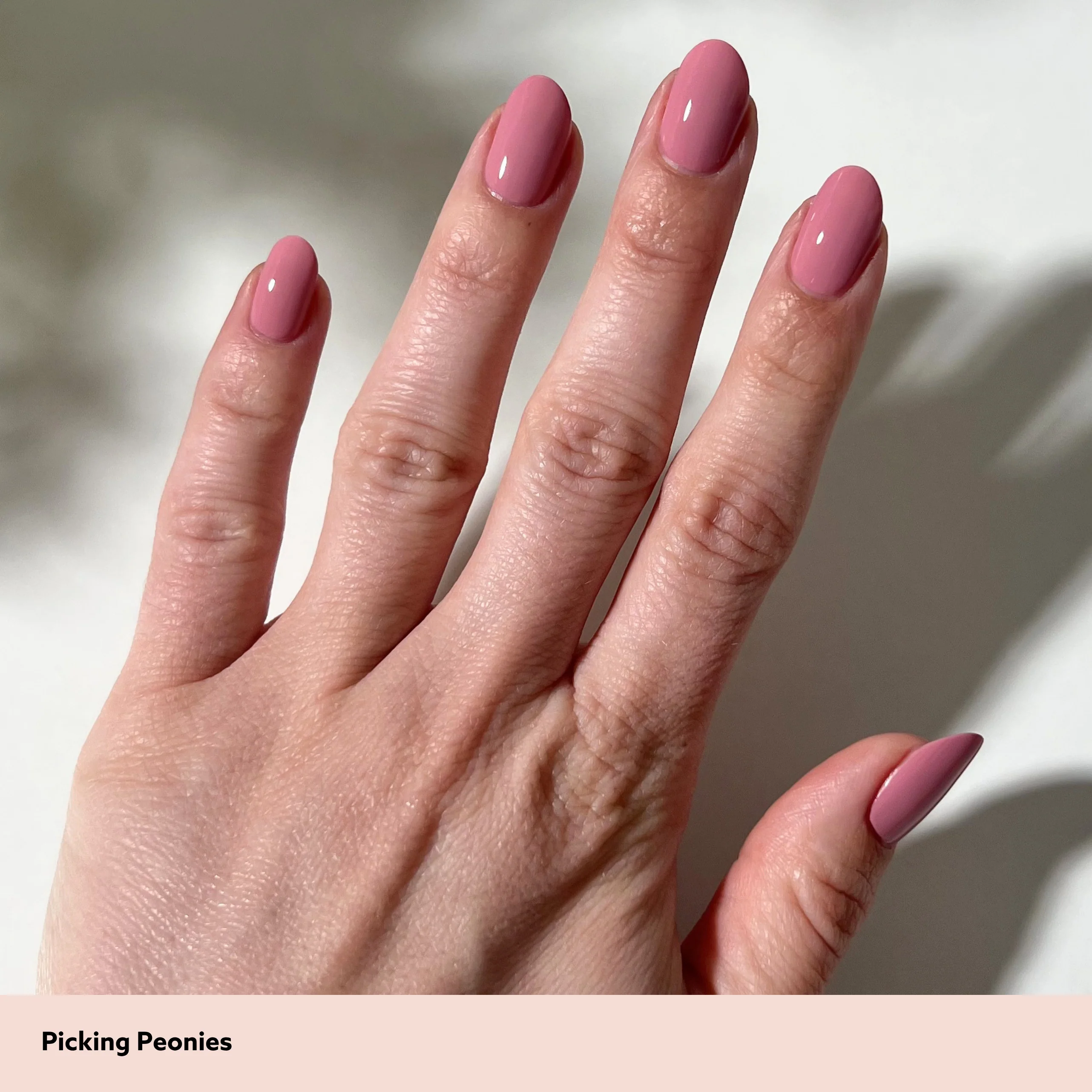 Picking Peonies - Image 9