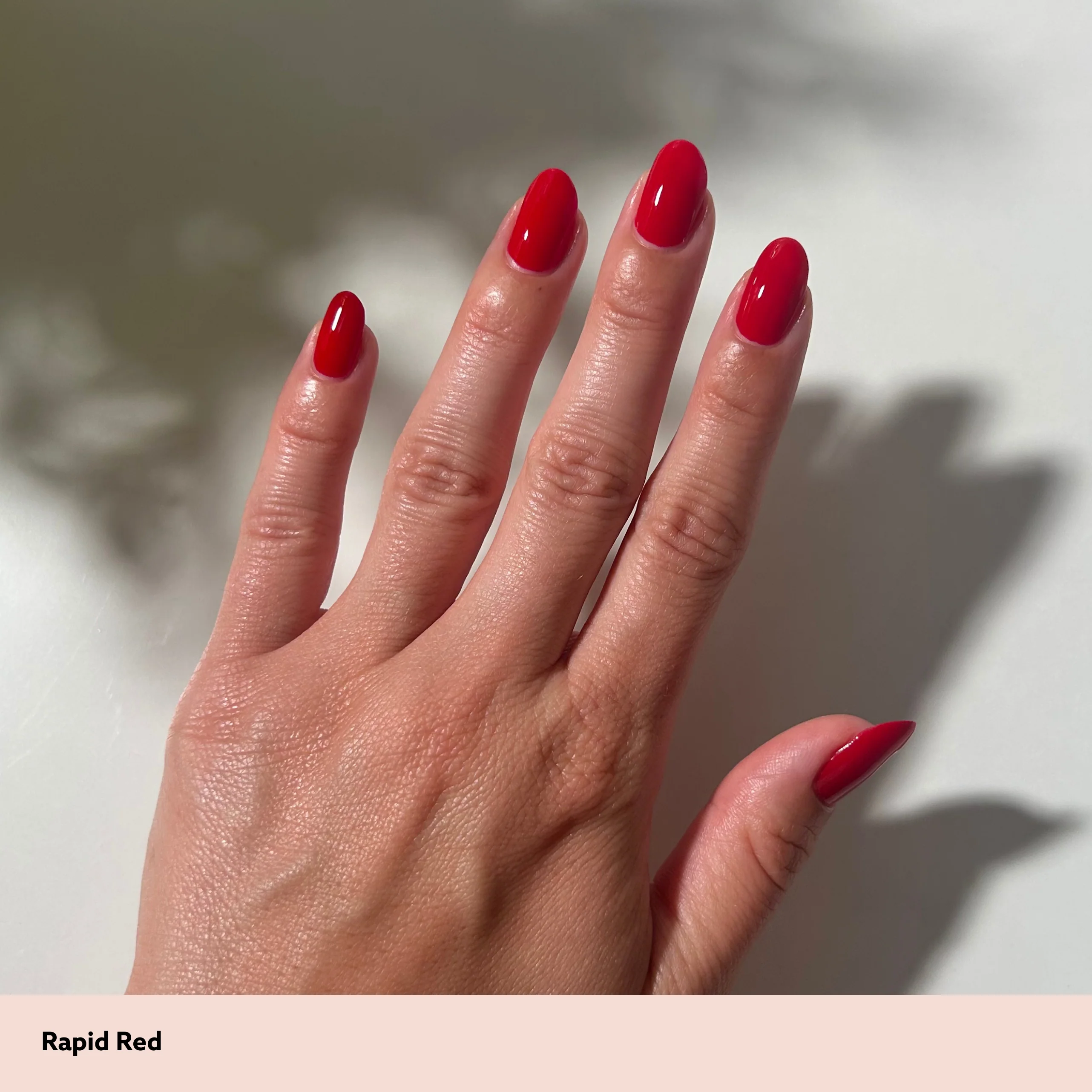 Rapid Red - Image 6