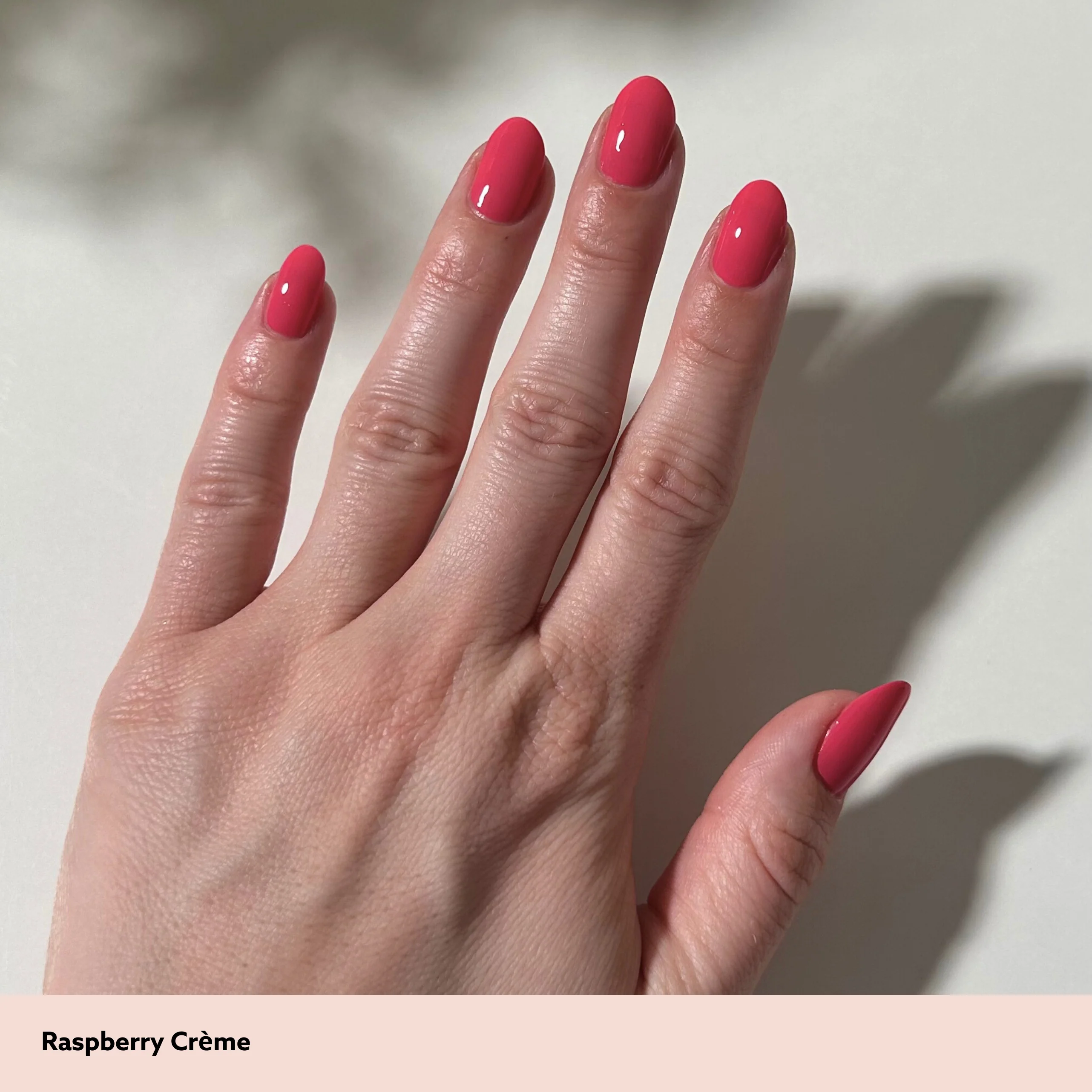 Raspberry Crème - Image 5