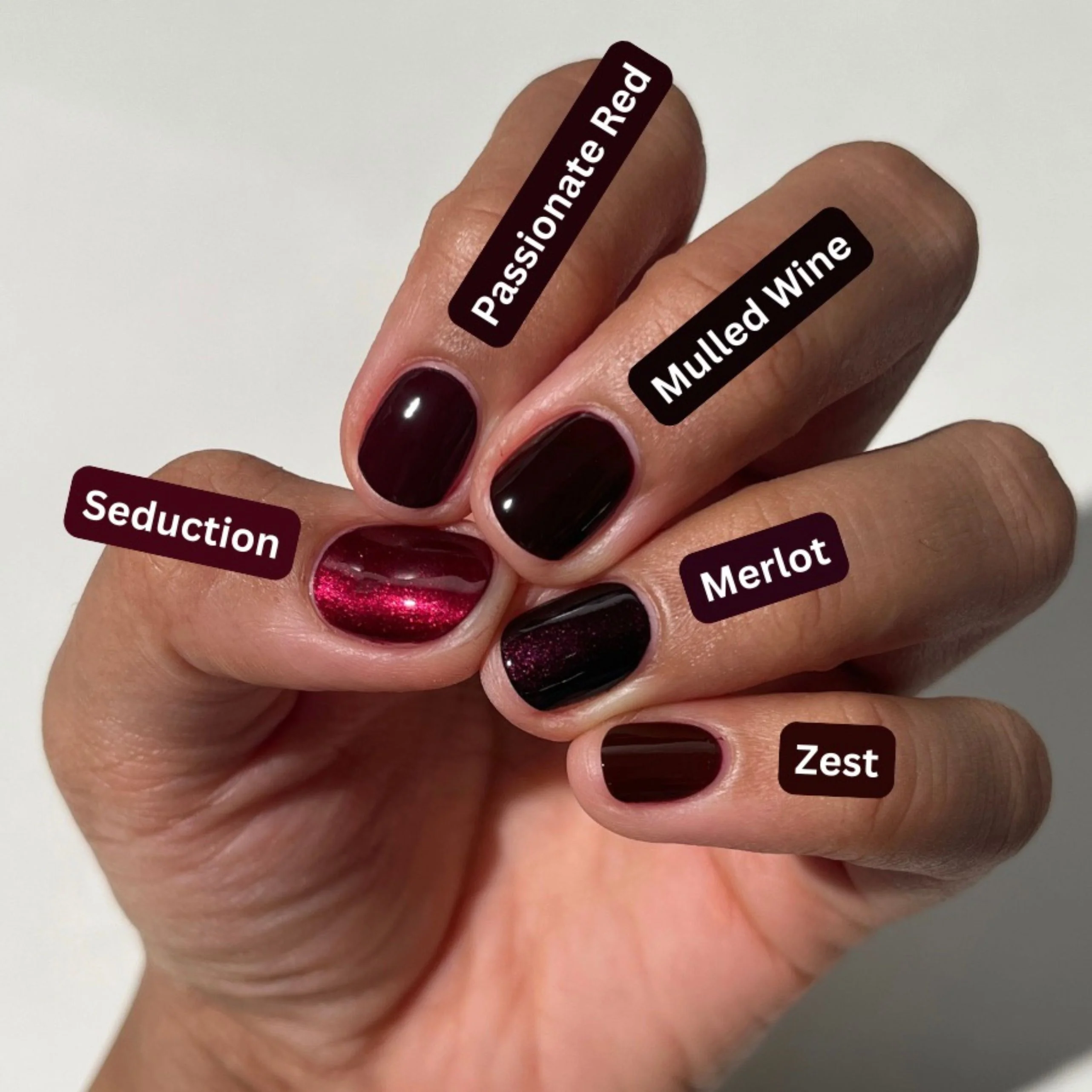 Merlot - Image 5