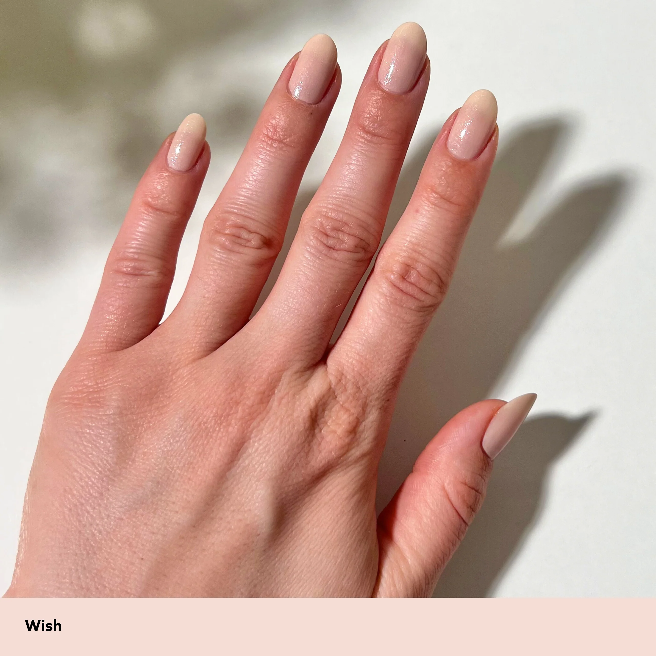 Wish - Image 6