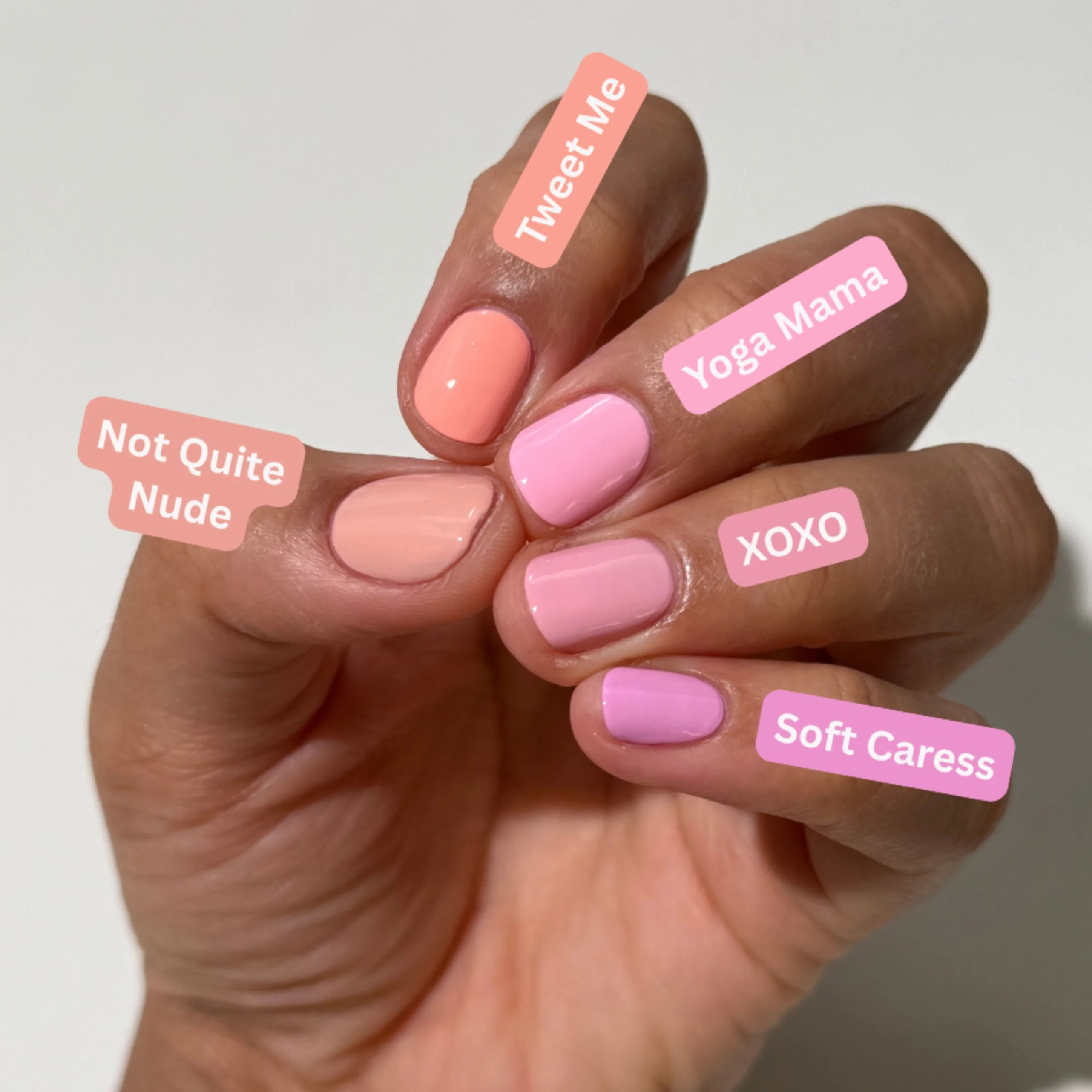 XOXO - Image 6